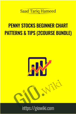 Penny Stocks Beginner Chart Patterns & Tips (2Course Bundle) - Saad Tariq Hameed