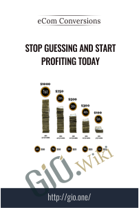 Stop Guessing and Start Profiting Today – eCom Conversions