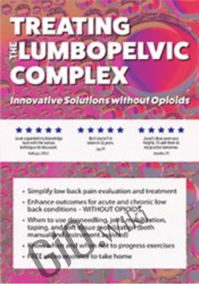Treating the Lumbopelvic Complex: Innovative Solutions without Opioids - Jason Handschumacher