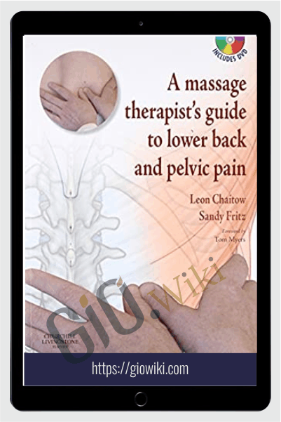 A massage therapist's guide to lower back and pelvic pain - Sandy Fritz