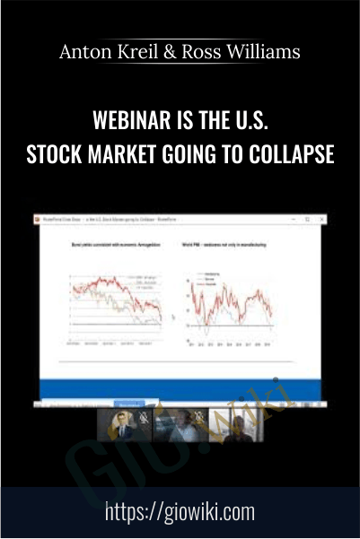 WEBINAR Is the U.S. Stock Market Going to Collapse – Anton Kreil & Ross Williams