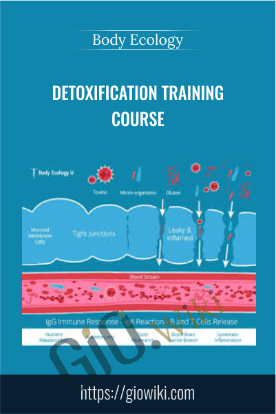 Detoxification Training Course - Body Ecology