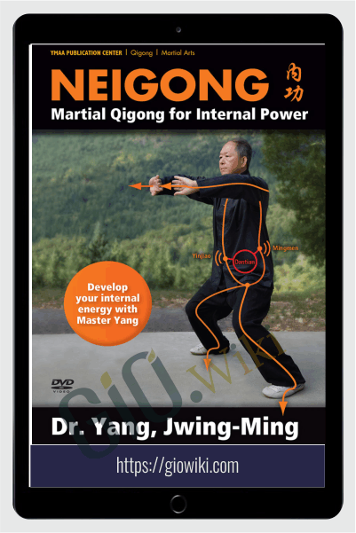 Neigong - Martial Qigong for Internal Power - Yang Jwing-Ming