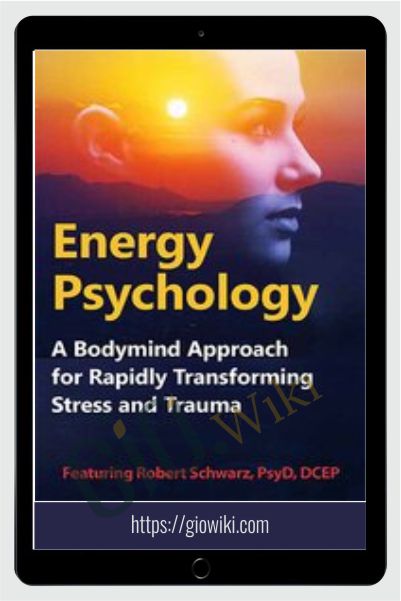 Energy Psychology: A Bodymind Approach for Rapidly Transforming Stress and Trauma - Robert Schwarz