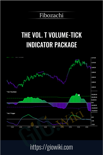 The Vol. T Volume-Tick Indicator Package – Fibozachi