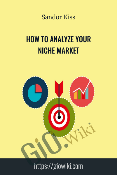 How To Analyze Your Niche Market - Sandor Kiss