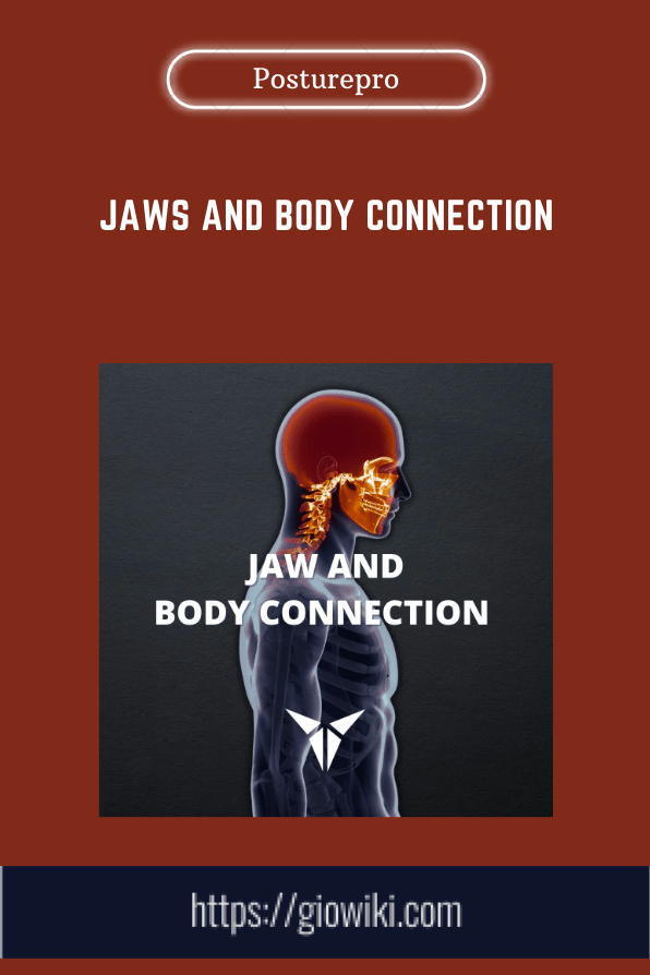 Jaws And Body Connection - Posturepro