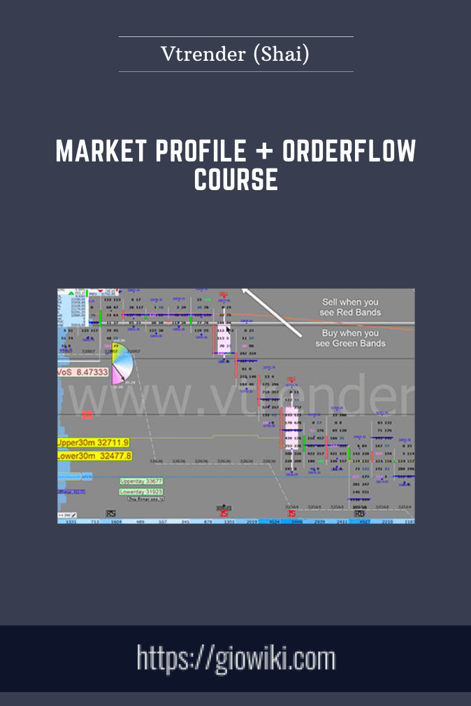 Market Profile + Orderflow Course - Vtrender (Shai)