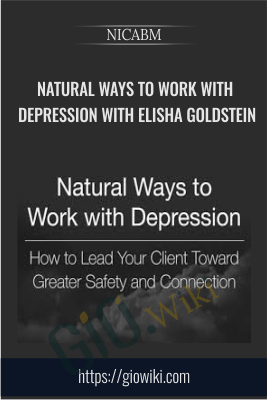 Natural Ways to Work with Depression with Elisha Goldstein - NICABM