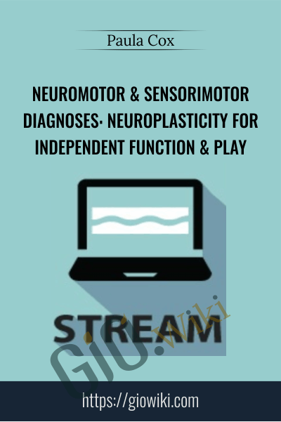 Neuromotor & Sensorimotor Diagnoses: Neuroplasticity for Independent Function & Play - Paula Cox