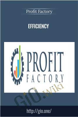 Efficiency – Profit Factory