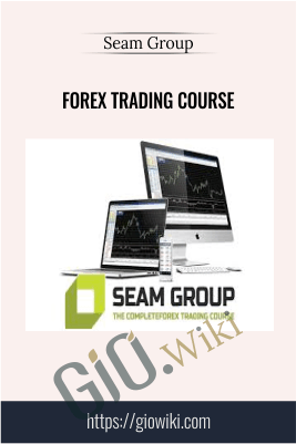 Forex Trading Course - Seam Group - Stefan Theron