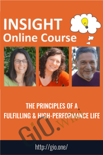 The Principles of a Fulfilling & High-Performance Life -  InSight