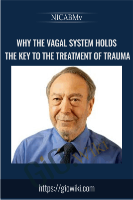 Why the Vagal System Holds the Key to the Treatment of Trauma - NICABM