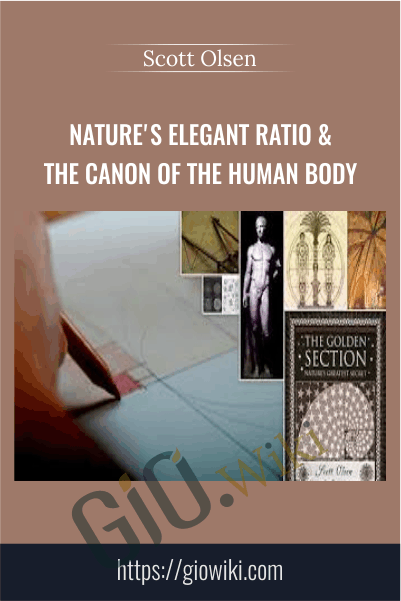 Nature's Elegant Ratio & the Canon of the Human Body - Academy of Sacred Geometry - Scott Olsen