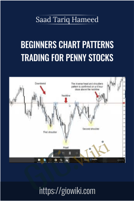 Beginners Chart Patterns Trading for Penny Stocks - Saad Tariq Hameed