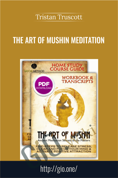 The Art of Mushin Meditation Course - Tristan Truscott