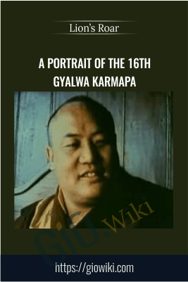 A Portrait of the 16th Gyalwa Karmapa – The Lion’s Roar