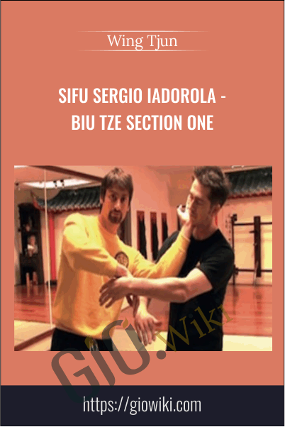 Sifu Sergio Iadorola - Biu Tze Section One - Wing Tjun