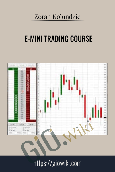 E-mini Trading Course – Zoran Kolundzic