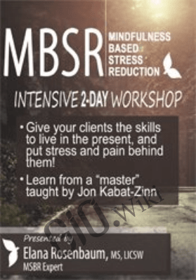 2-Day Certificate Course: MBSR: Mindfulness Based Stress Reduction - Elana Rosenbaum