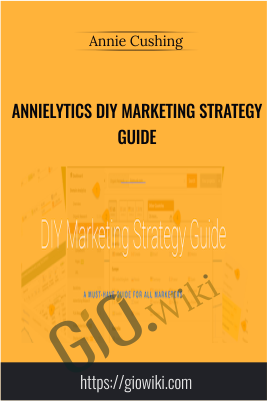 Annielytics DIY Marketing Strategy Guide - Annie Cushing
