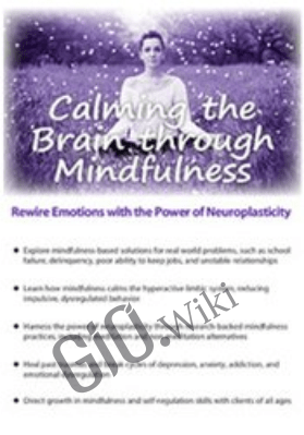 Calming the Brain through Mindfulness: Rewire Emotions with the Power of Neuroplasticity - Mark L. Beischel