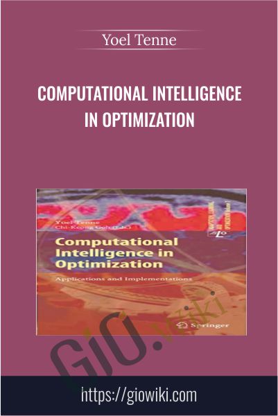 Computational Intelligence In Optimization - Yoel Tenne