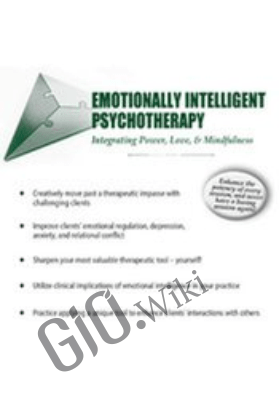 Emotionally Intelligent Psychotherapy: Integrating Power, Love, & Mindfulness - Sam Alibrando