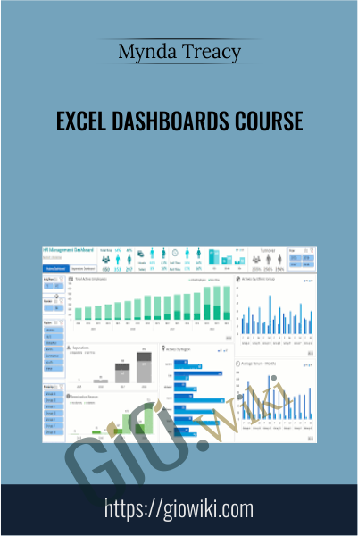 Excel Dashboards Course - Mynda Treacy
