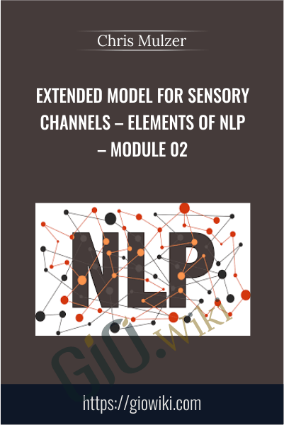 Extended Model for Sensory Channels – Elements of NLP – Module 02 - Chris Mulzer