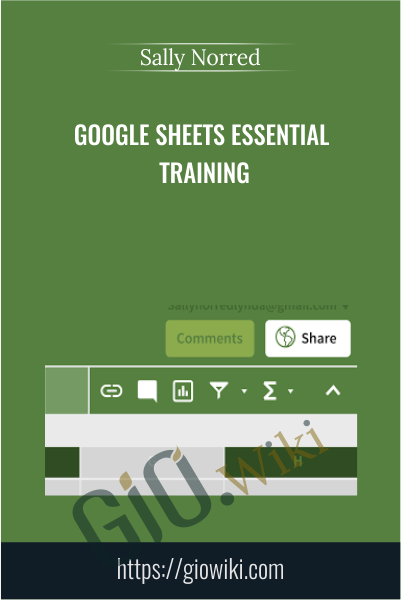 Google Sheets Essential Training - Sally Norred