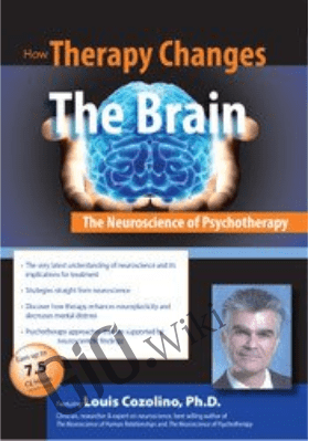 How Therapy Changes the Brain - Louis Cozolino