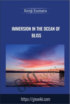 Immersion in the ocean of bliss - Kenji Kumara