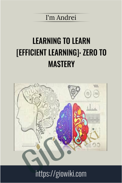 Learning to Learn [Efficient Learning]: Zero to Mastery -  I'm Andrei