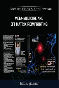 META-Medicine and EFT Matrix ReImprinting – Richard Flook & Karl Dawson