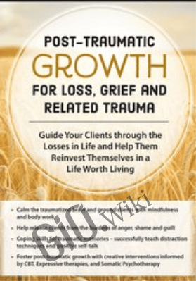Post-Traumatic Growth for Loss, Grief and Related Trauma: Guide Your Clients through the Losses in Life and Help Them Reinvest Themselves in a Life Worth Living - Rita A. Schulte