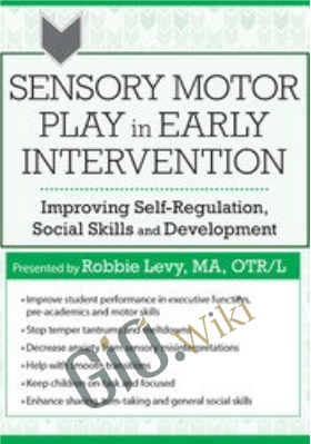 Sensory Motor Play in Early Intervention: Improving Self-Regulation, Social Skills and Development - Robbie Levy