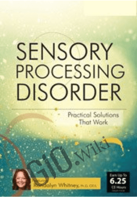 Sensory Processing Disorder: Practical Solutions that Work - Rondalyn Varney Whitney