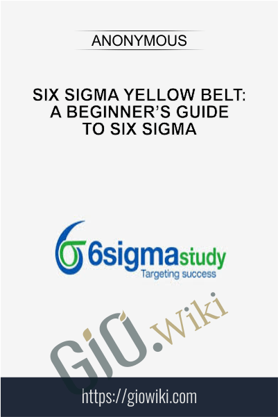 Six Sigma Yellow Belt: A Beginner’s Guide to Six Sigma