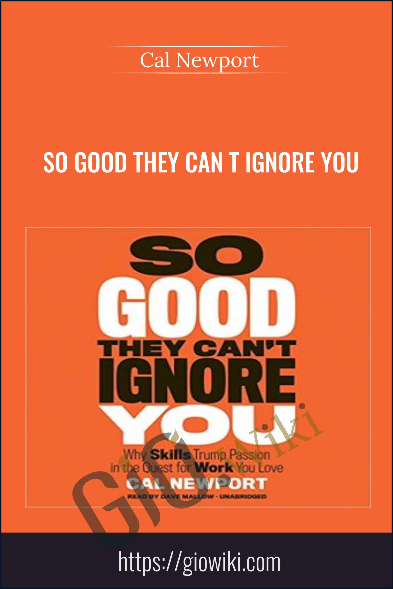 So Good They Can t Ignore You - Cal Newport