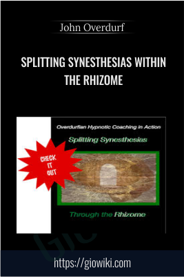 Splitting Synesthesias within the Rhizome - John Overdurf