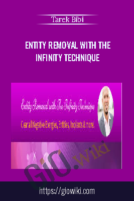 Entity Removal With the Infinity Technique – Tarek Bibi