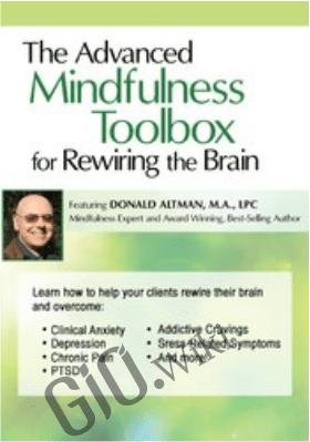 The Advanced Mindfulness Toolbox for Rewiring the Brain: Intensive 2-Day Mindfulness Training for Anxiety, Depression, Pain, PTSD, and Stress-Related Symptoms - Donald Altman