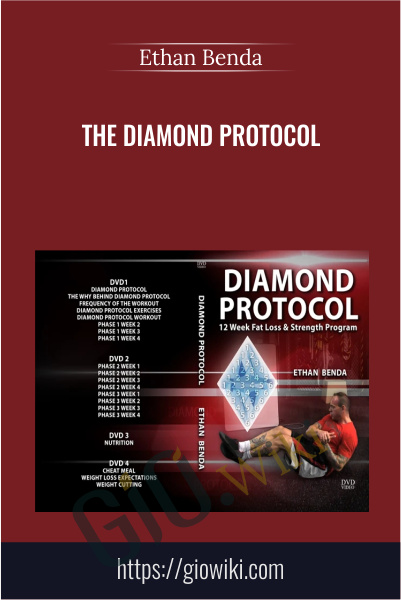 The Diamond Protocol  - Ethan Benda