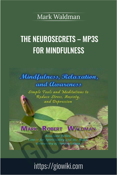 The NeuroSecrets – MP3s for Mindfulness - Mark Waldman