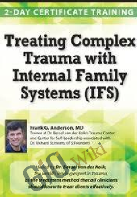 Treating Complex Trauma with Internal Family Systems (IFS): 2-Day Certificate Course - Frank G. Anderson