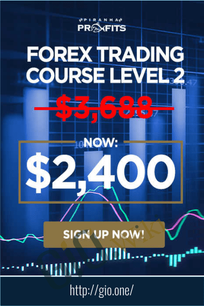 Forex Trading Course Level 2 - Pip Netter