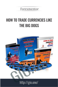 How to Trade Currencies Like the Big Dogs – Forexmentor