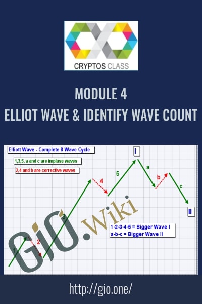 Module 4 Elliot Wave and Identify Wave Count – CryptosClass
